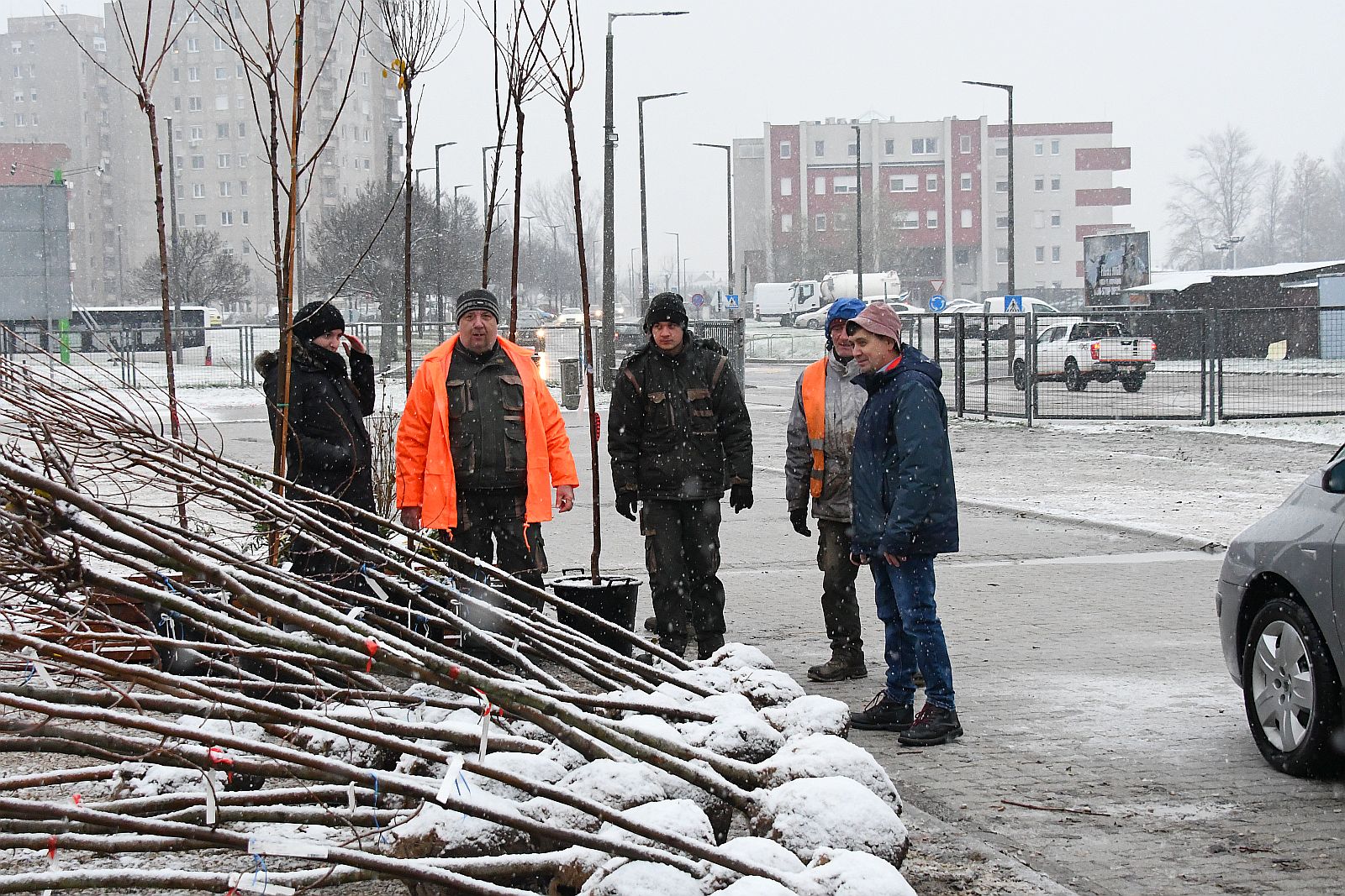 LOMBkoronás Székesfehérvár - a hetében osztottuk ki a fákat és a cserjéket a pályázóknak